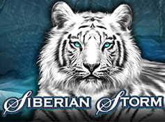 Siberian Storm de IGT